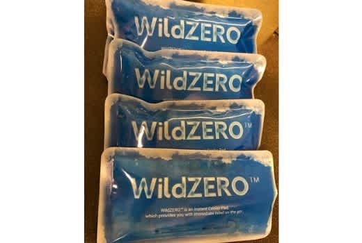WildZERO 3 520x350